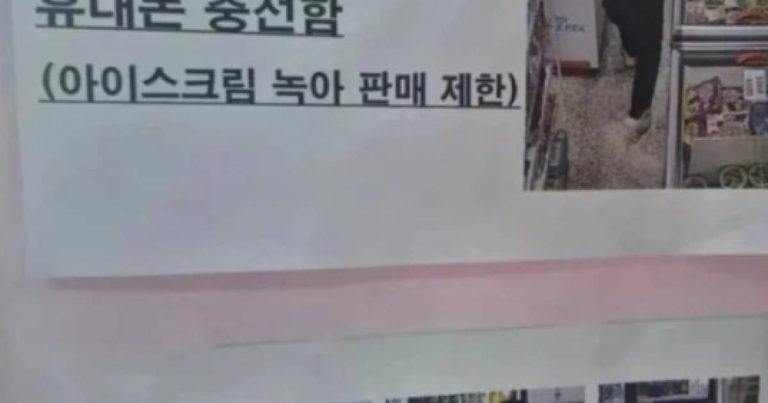 Imagem da notícia: Cliente desliga freezer para carregar celular e derrete sorvetes na Coreia