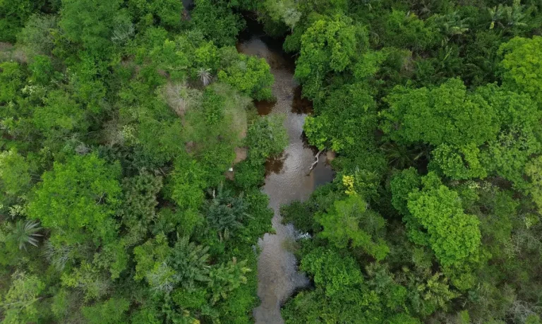 Foto: Brasil de Fato
