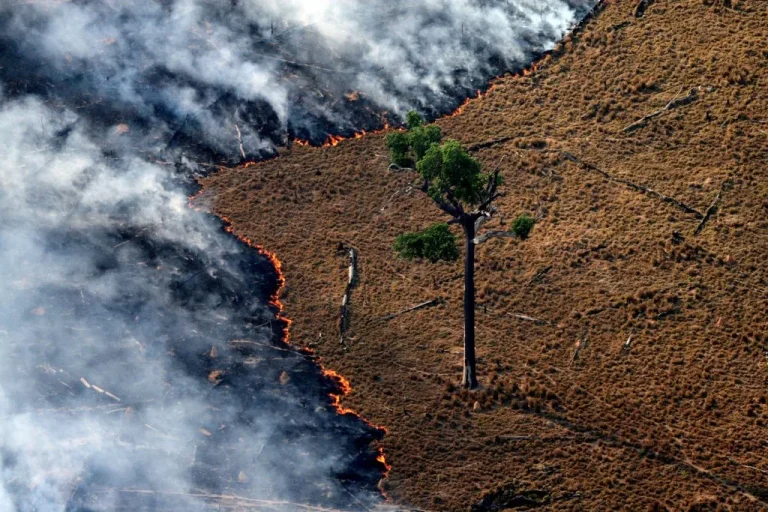 Imagem da notícia: Fumaça em Manaus prejudica saúde e incêndios se ligam ao período eleitoral