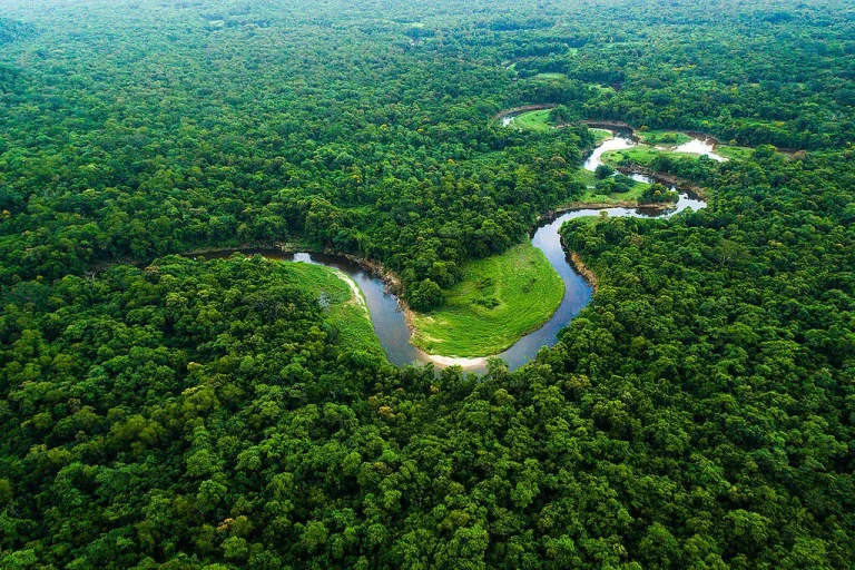 Imagem da notícia: Sob Lula, Amazônia registra o menor desmatamento em 41 anos