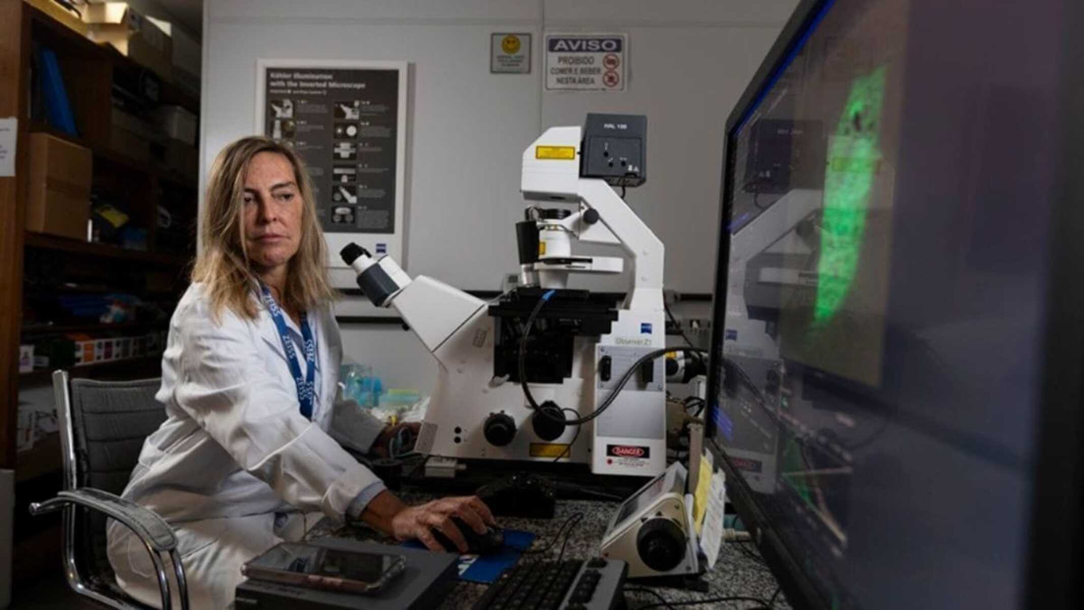 Imagem da notícia: Anvisa restringe uso compassivo da polilaminina e pesquisadora reage