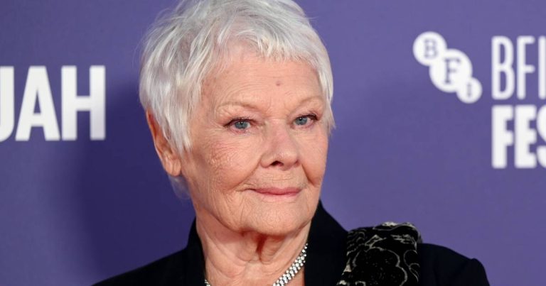 Imagem da notícia: Degeneração macular: a doença que afastou Judi Dench das telas