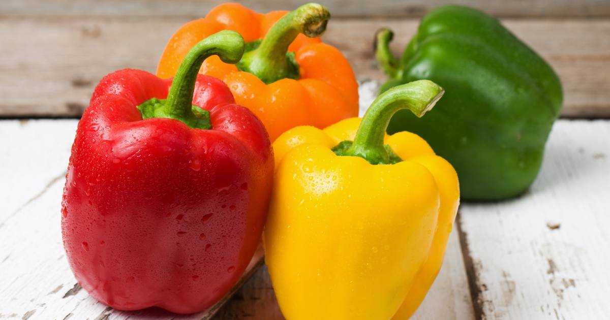 Imagem da notícia: Pimentão e pimenta: parentes próximos com sabores distintos