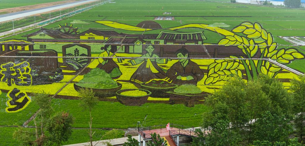 Imagem da notícia: Província chinesa amplia frota de máquinas agrícolas de alta tecnologia