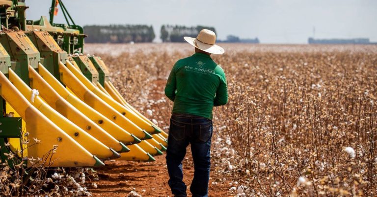 Imagem da notícia: Empresas do agro em recuperação judicial crescem quase 19% em dois anos
